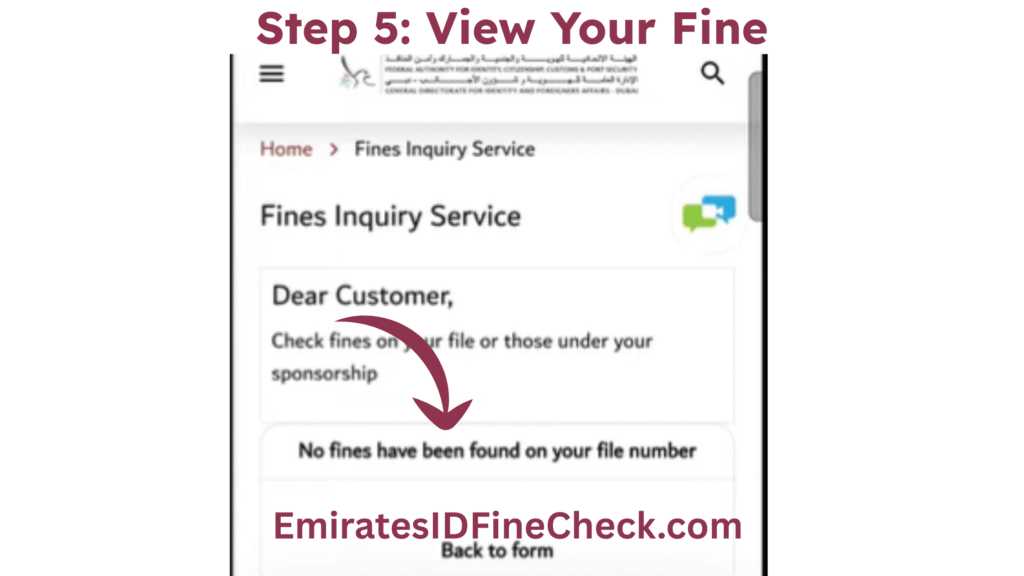 View Your Fine