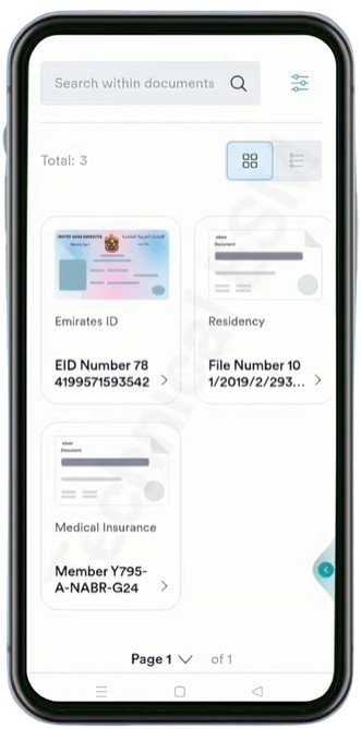 Select Emirates ID and Download